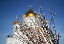 Почему воскресенье называется Вербным, и в чем польза освященных ветвей