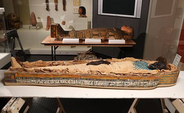 <br />
Раскрыть подробности жестокого убийства прекрасной молодой египтянки, произошедшего 2600 лет назад                