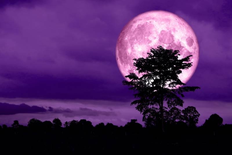 <br />
Розовая Луна 27 апреля может одарить удачей и благосостоянием, что для этого нужно сделать                