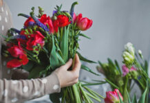 Почему тюльпаны так любимы и популярны?