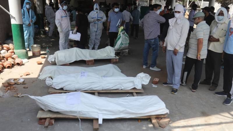 <br />
Ганг наполнился телами: почему в индийской реке находят десятки человеческих останков                