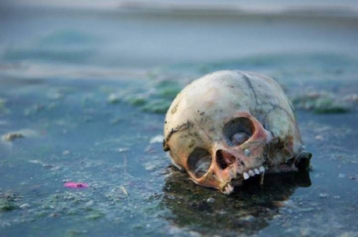 <br />
Ганг наполнился телами: почему в индийской реке находят десятки человеческих останков                