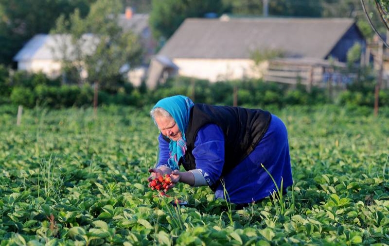 <br />
Какая надбавка к пенсии за 30 лет стажа в сельском хозяйстве полагается в 2021 году                