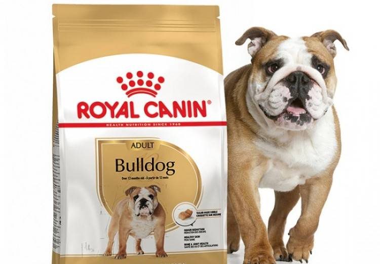 <br />
Преимущества консервов Royal Canin для собак                