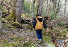 Пусть каждый ребенок будет найден: во всем мире отмечают День пропавших детей