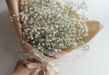 Особенности букета из гипсофилы