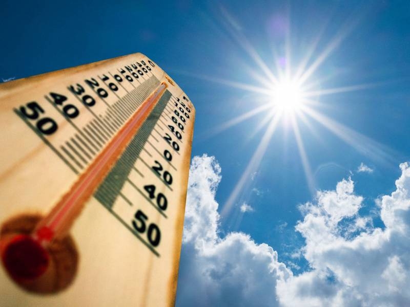 <br />
Как избежать теплового удара в аномальную жару в июне 2021 года                
