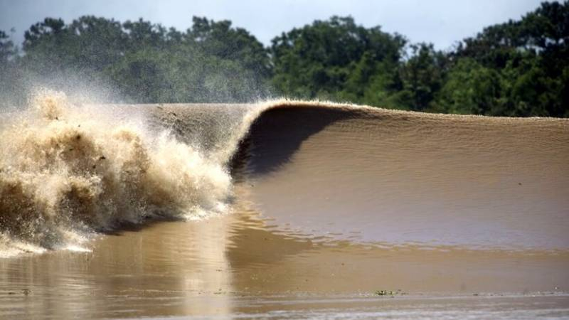 <br />
Почему через реку Амазонку нет ни одного моста                