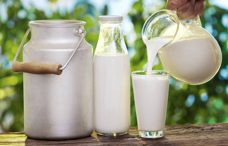 <br />
Подделка или неправильное хранение: почему молоко начинает горчить, а не скисать                