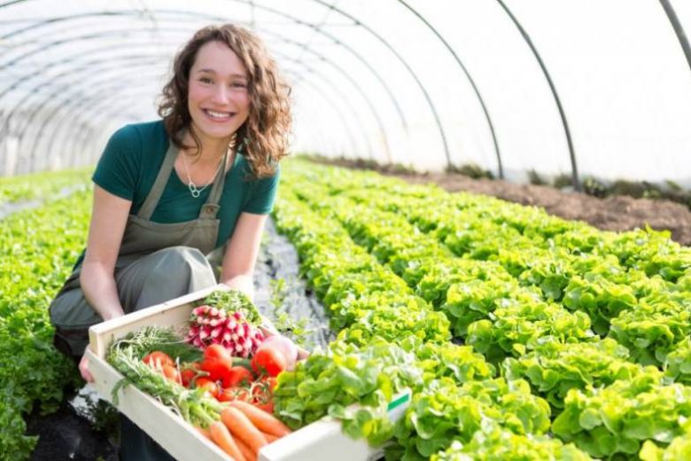 <br />
«Похвалить капусту или рассказать анекдот помидорам»: как увеличить урожай, разговаривая с растениями                