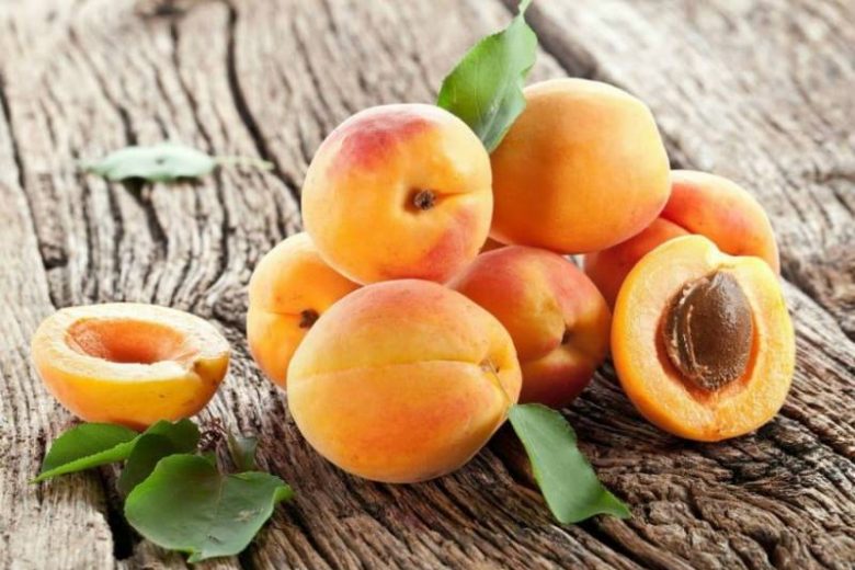 <br />
Полезные свойства абрикоса для человеческого организма                