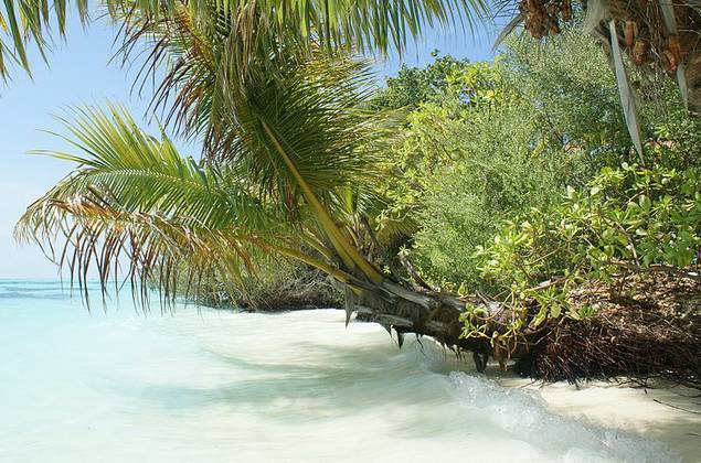 <br />
Правда ли, что Мальдивские острова  уходят под воду?                