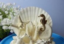 Ракушки: благородный материал, из которого легко можно сделать любую композицию