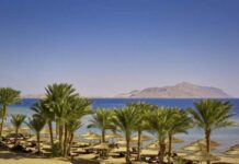 Что по новым правилам нужно россиянам для въезда в Египет в июле 2021 года