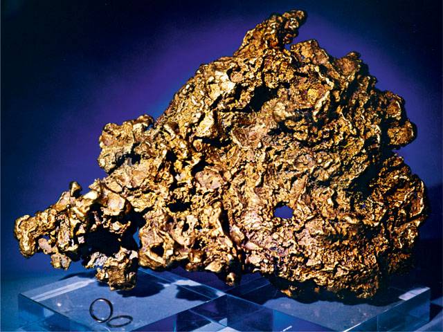 <br />
История старателя, обнаружившего самый крупный самородок золота «Большой треугольник»                