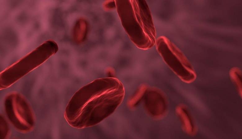 <br />
Семь фактов про четвертую группу крови, о которых вы не знали раньше                