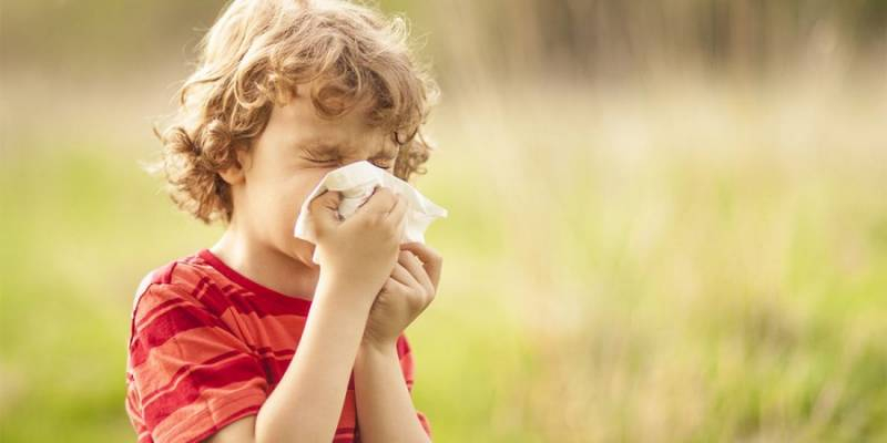 <br />
«Внимание, аллергия»: список наиболее распространенных аллергенов июля                