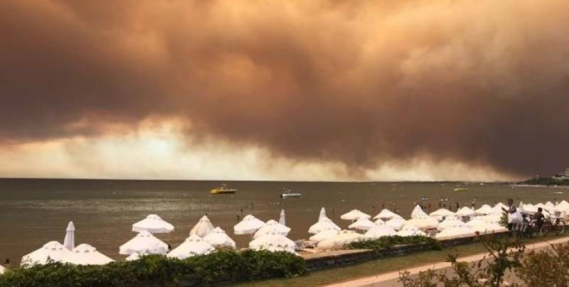 <br />
Животные гибнут в огне, а туристы пакуют вещи: что сейчас происходит в Марамарисе и Анталии                