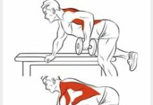 Как накачать спину и плечи: лучший комплекс упражнений