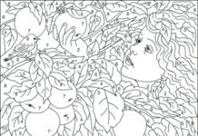 Польза рисования по номерам для взрослых