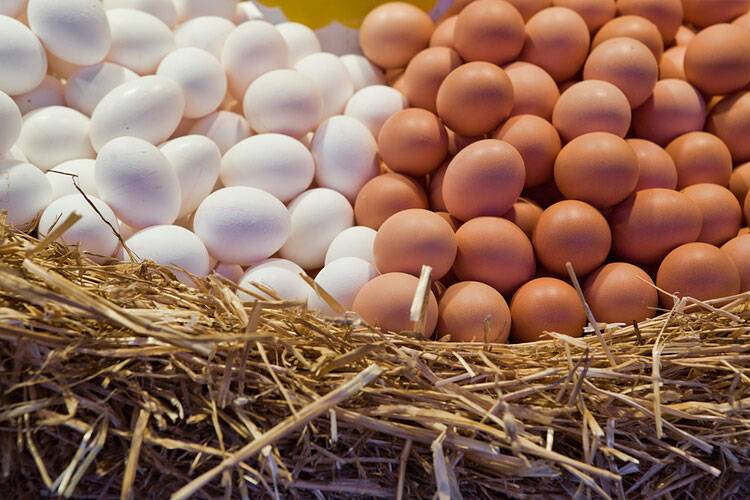 <br />
Белые или все-таки коричневые: какие яйца более полезны для здоровья                