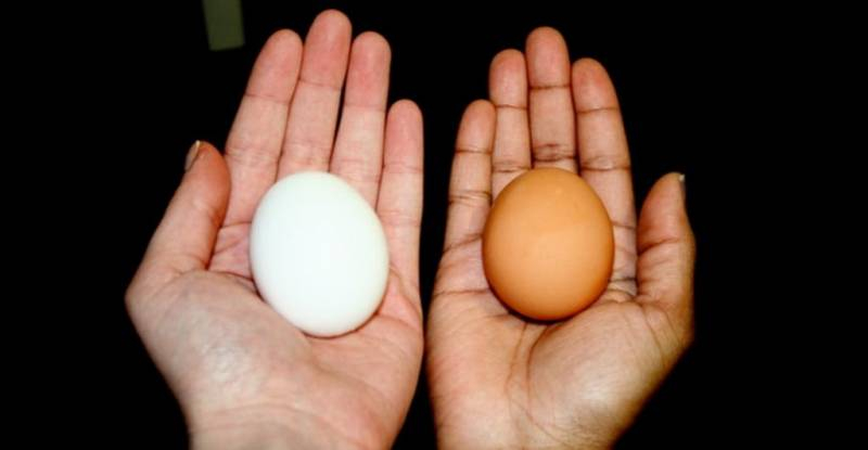 <br />
Белые или все-таки коричневые: какие яйца более полезны для здоровья                