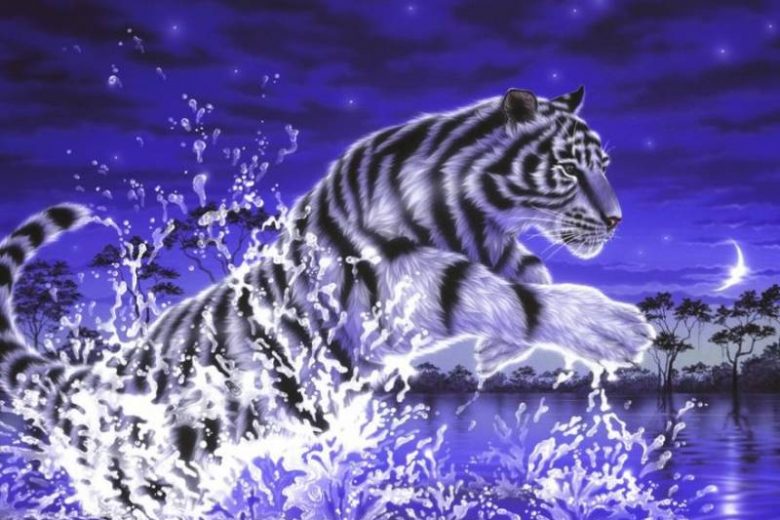 <br />
Год Синего Водяного Тигра-2022: как встречать, в чем, и какие угощения ставить на стол                