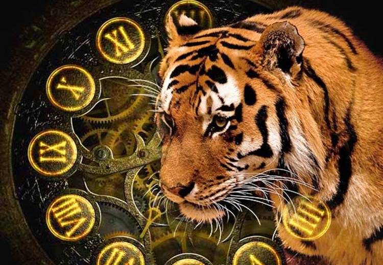 <br />
Гороскоп от Василисы Володиной на 2022 год Черного Водяного Тигра                