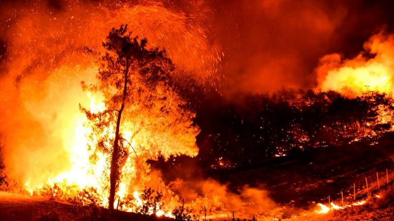 <br />
Лесные пожары в Турции, какая обстановка там сегодня                