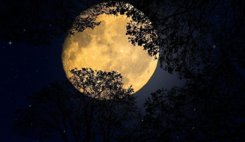 <br />
Лунный день 22 августа: какие сюрпризы приготовила полная Луна                