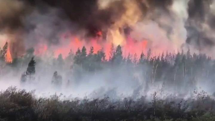 <br />
Площадь лесных пожаров в Якутии достигла 6,6 млн га                