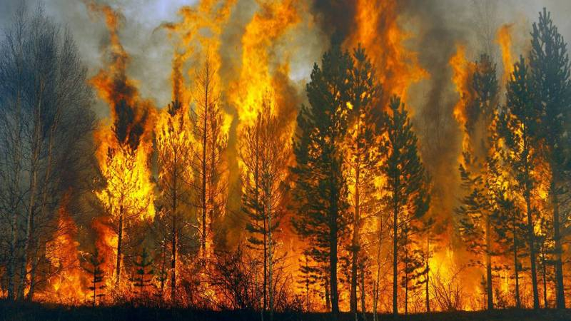 <br />
Пожарным удалось локализовать все очаги возгорания в Анталии и Мармарисе                