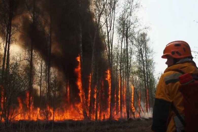 <br />
Пожары в Якутии уничтожили рекордную площадь лесов                