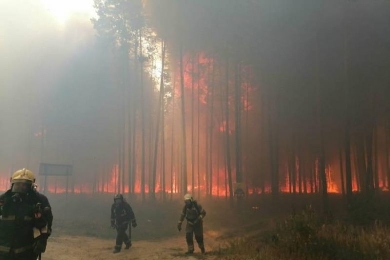 <br />
В Марий Эл из-за лесных пожаров ввели режим чрезвычайной ситуации                