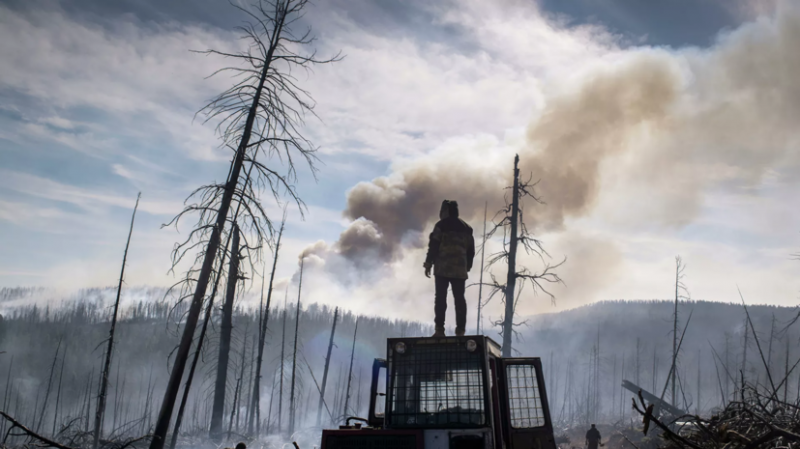 В МЧС сообщили, что площадь активного горения лесов в Якутии составляет 1,9 га