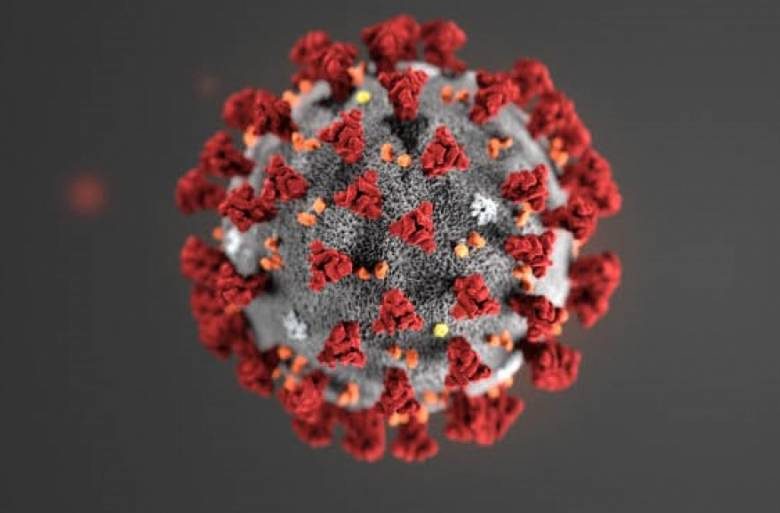 <br />
Закончится ли коронавирус в России в 2021 году: прогнозы иммунологов и вирусологов                