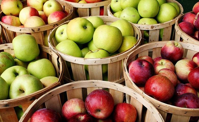 <br />
Запрет на яблоки до Яблочного спаса: почему нельзя есть плоды до 19 августа                