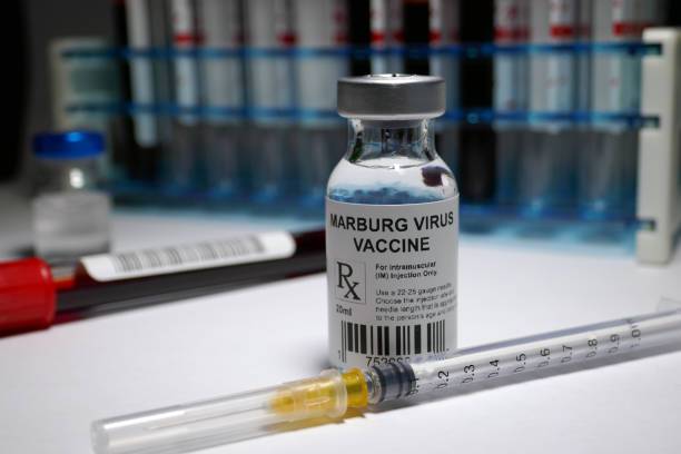 <br />
Заразный вирус Марбург начал убивать: первый случай зафиксирован в Африке                