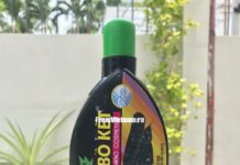 Как заказать товары из Вьетнама?