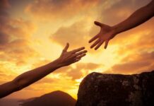 Цена «медвежьей услуги»: почему лучше не вмешиваться, если хочешь помочь