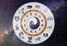 Четыре знака китайского зодиакального круга, которым повезет в октябре 2021 года