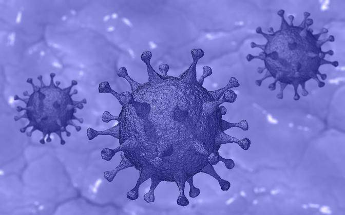 <br />
Что собой представляет и является ли опасным новый штамм коронавируса «мю»                