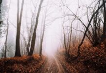 Чудо Михаила Архангела в Хонех стало большим праздником для православных