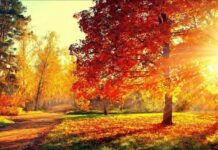 Энергия семи двоек: что нужно сделать в день осеннего равноденствия 22 сентября 2021 года для улучшения финансового положения