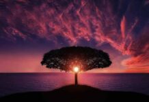 Идем на восток: незабываемое путешествие в Алматы