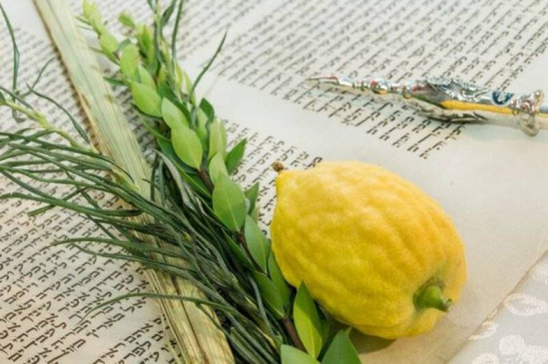 <br />
Израиль празднует Суккот: традиции, смысл и запреты иудейского праздника                