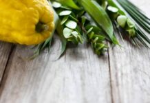 Израиль празднует Суккот: традиции, смысл и запреты иудейского праздника