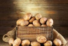 Как правильно хранить картофель в городской квартире