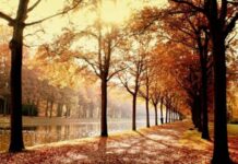 Как работаем и отдыхаем в ноябрьские праздники в 2021 году