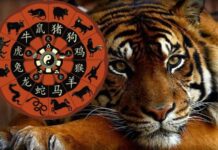 Какие знаки зодиака будут самыми везучими в 2022 году